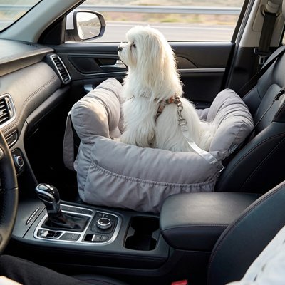 Siège auto pour chien permet au toutou de voyager sereinement