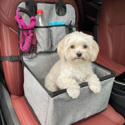 Siege auto pour chien petit et  moyen