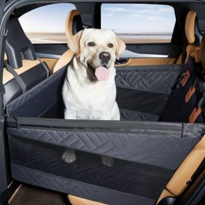 Siege auto pour chien pour siège arrière de voiture 