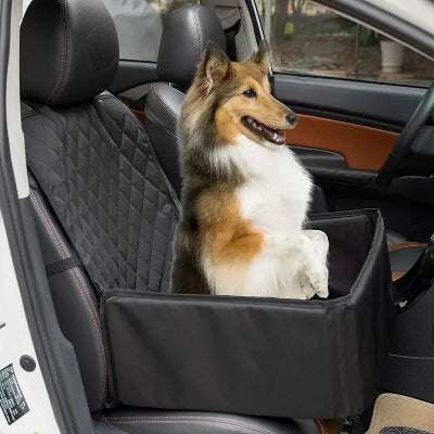 siege auto pour chien 